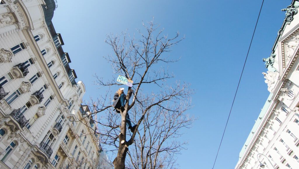 Weltweiter Klimastreik 2022 Wien