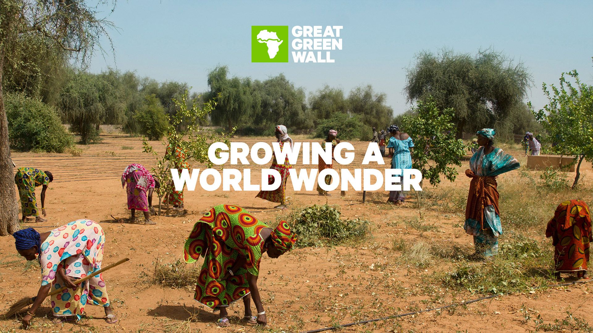 Great Green Wall // floomedia