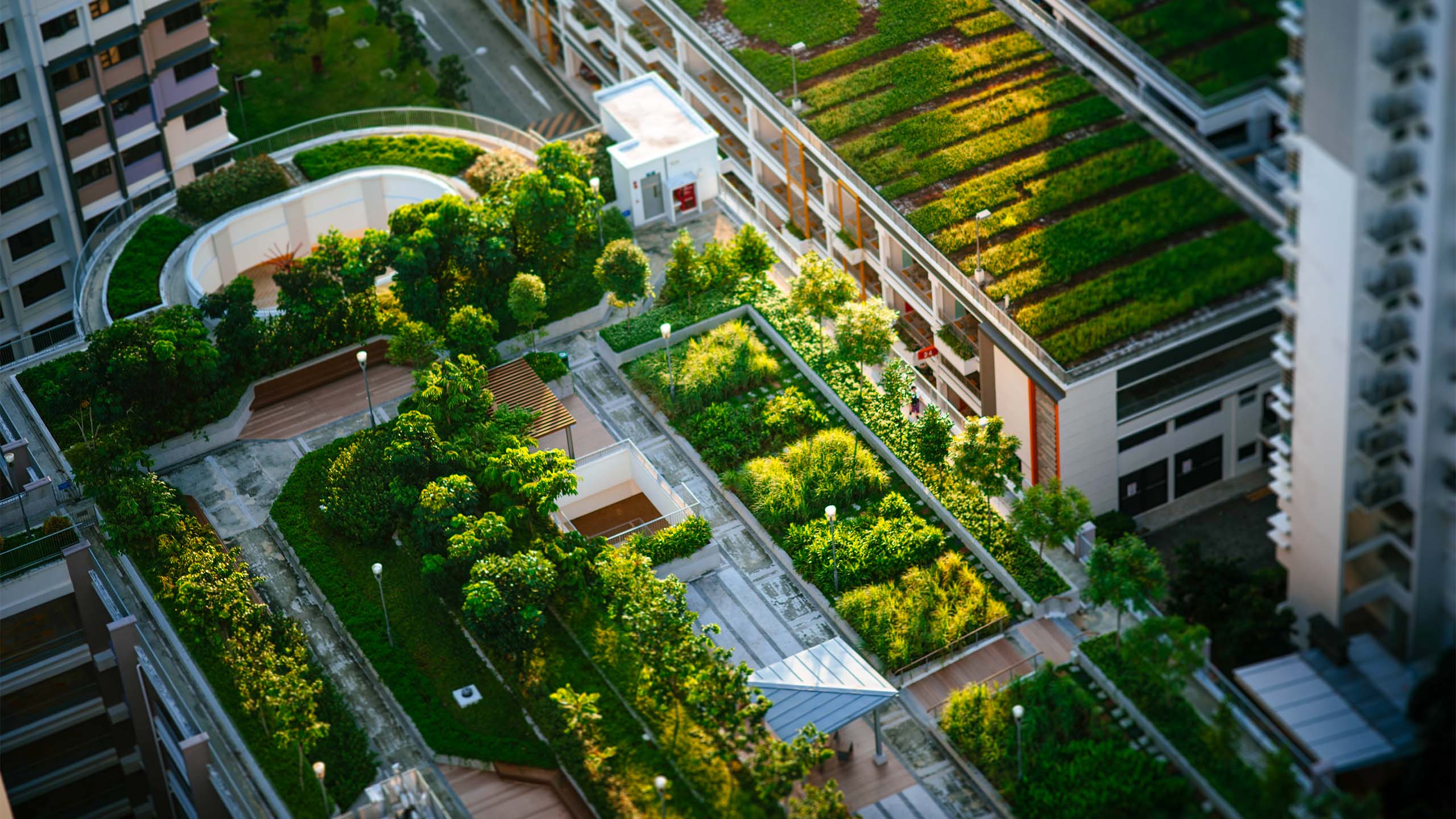 Urban Gardening // floomedia